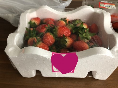 [가이드] 딸기를 따고 왔어요♬